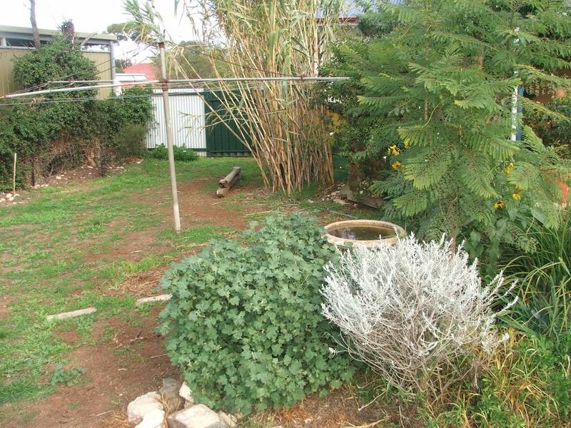 43 Sickerdick Street, Mannum SA 5238