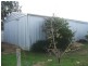43 Sickerdick Street, Mannum SA 5238