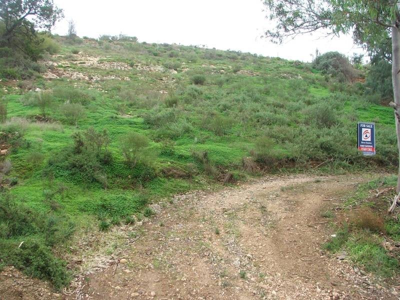 111 River Lane, Mannum SA 5238