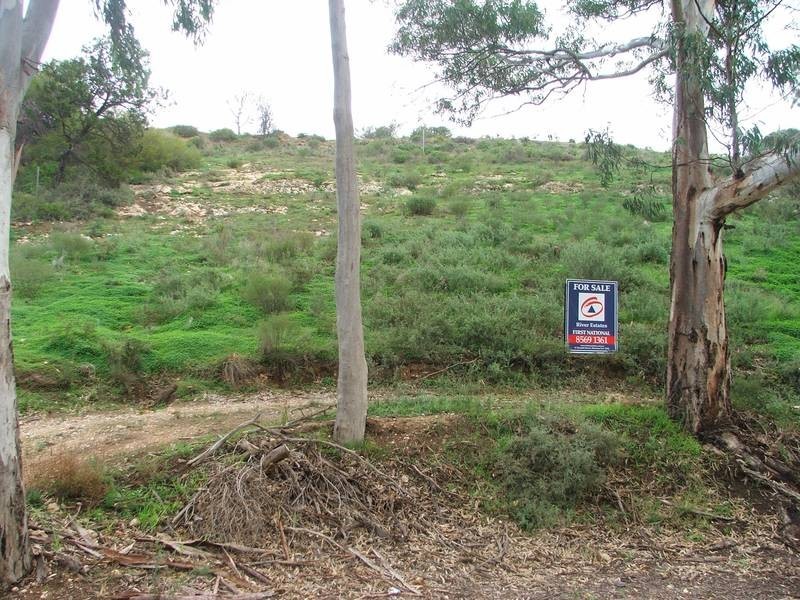 111 River Lane, Mannum SA 5238