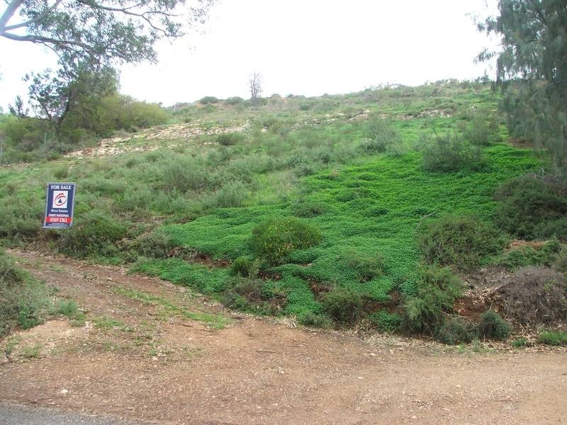 111 River Lane, Mannum SA 5238