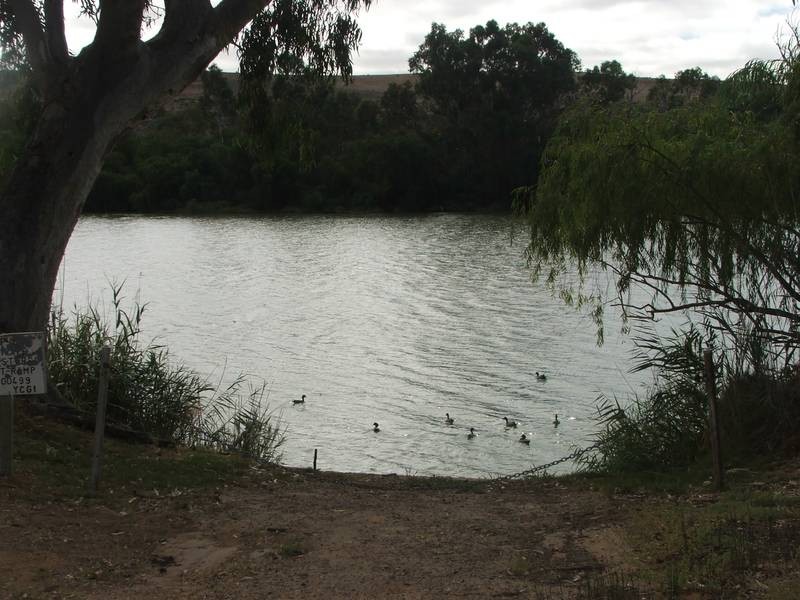 Lot 56 Perseverance Ct, Younghusband SA 5238