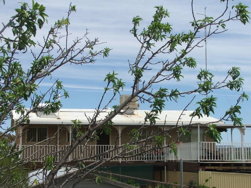 Lot 243 Anzac Ave, Swan Reach SA 5354