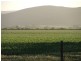 Lot 282,  Sedan Road, Cambrai SA 5353
