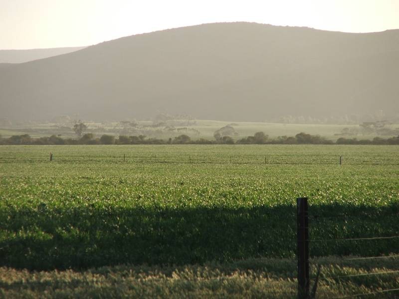Lot 282,  Sedan Road, Cambrai SA 5353