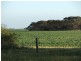 Lot 282,  Sedan Road, Cambrai SA 5353
