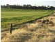 Lot 282,  Sedan Road, Cambrai SA 5353