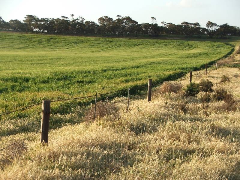 Lot 282,  Sedan Road, Cambrai SA 5353