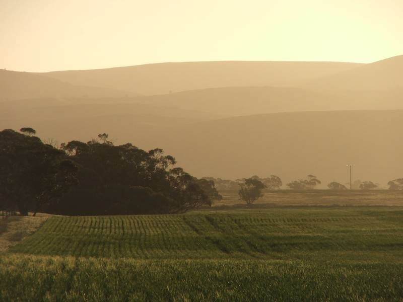 Lot 282,  Sedan Road, Cambrai SA 5353