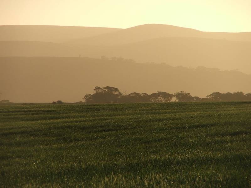 Lot 282,  Sedan Road, Cambrai SA 5353