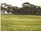 Lot 282,  Sedan Road, Cambrai SA 5353