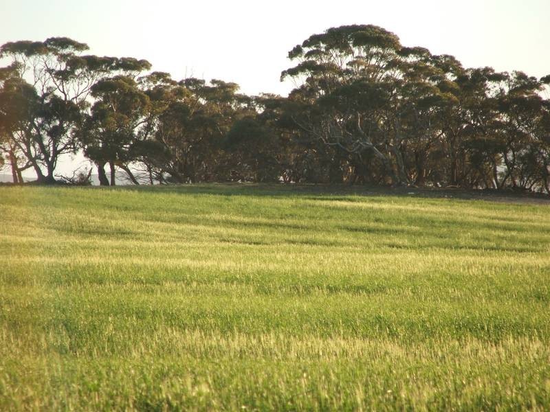 Lot 282,  Sedan Road, Cambrai SA 5353