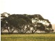 Lot 282,  Sedan Road, Cambrai SA 5353
