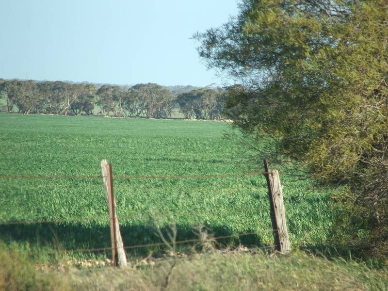 Sect 281 Corner Payne & Miller Roads, Sanderston SA 5237