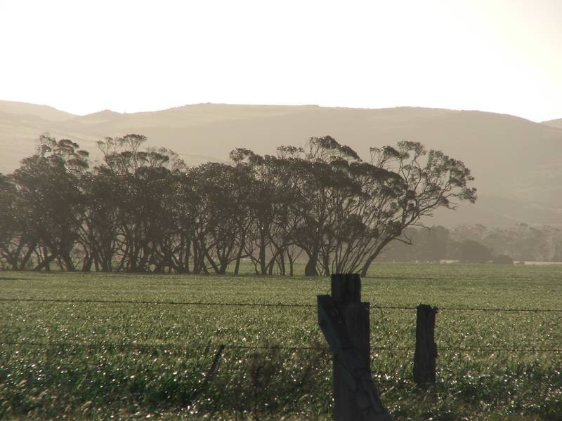 Sect 281 Corner Payne & Miller Roads, Sanderston SA 5237