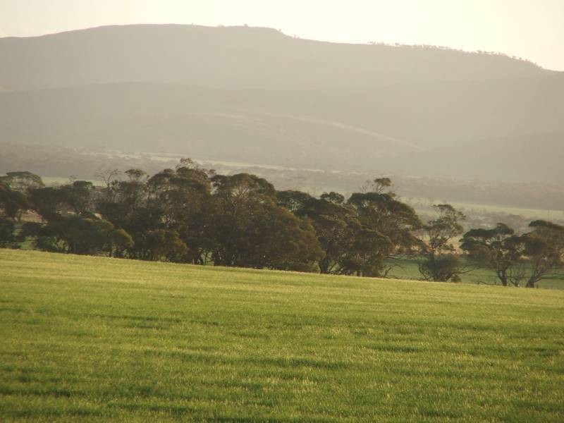 Sect 281 Corner Payne & Miller Roads, Sanderston SA 5237