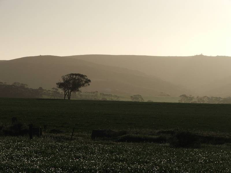 Sect 281 Corner Payne & Miller Roads, Sanderston SA 5237