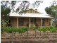 Sect 364 & 367 Billabong Road, Pompoota SA 5238