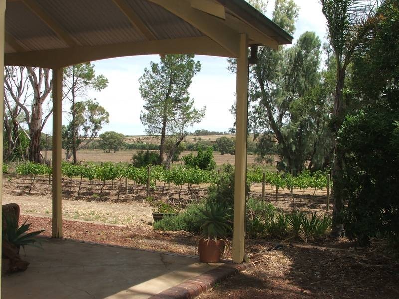 Sect 364 & 367 Billabong Road, Pompoota SA 5238