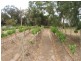 Sect 364 & 367 Billabong Road, Pompoota SA 5238