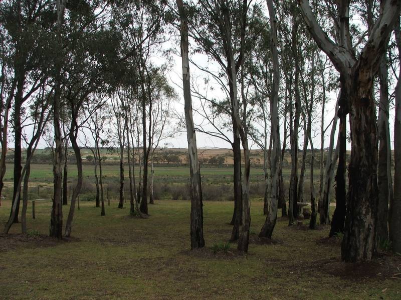 47 Rob Loxton Road, Walker Flat SA 5238