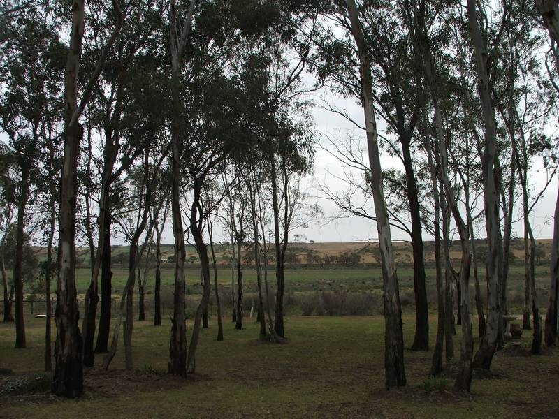 47 Rob Loxton Road, Walker Flat SA 5238