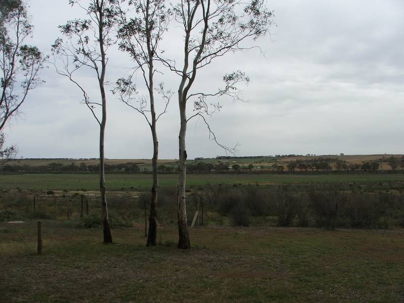 47 Rob Loxton Road, Walker Flat SA 5238