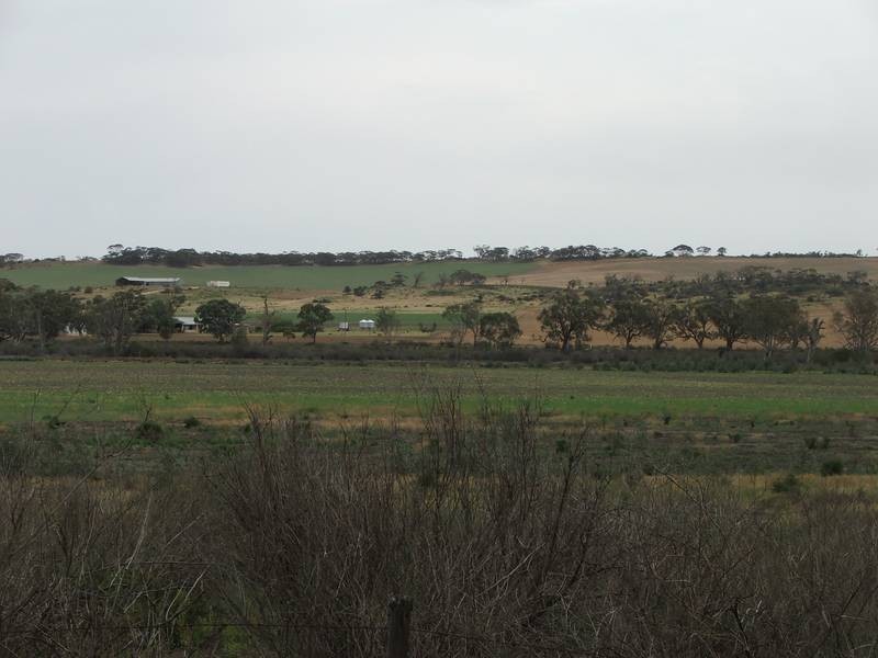 47 Rob Loxton Road, Walker Flat SA 5238