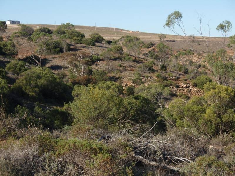 91 & 92 Long Gully Road, Mannum SA 5238