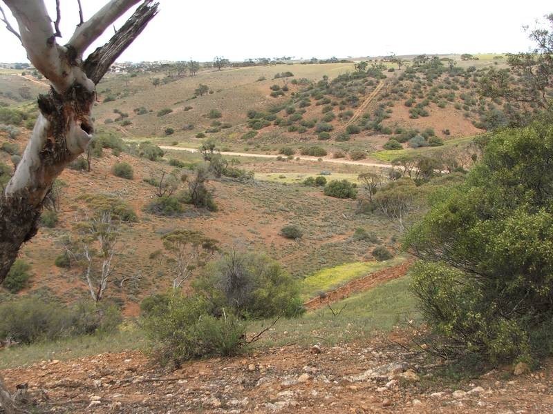 91 & 92 Long Gully Road, Mannum SA 5238