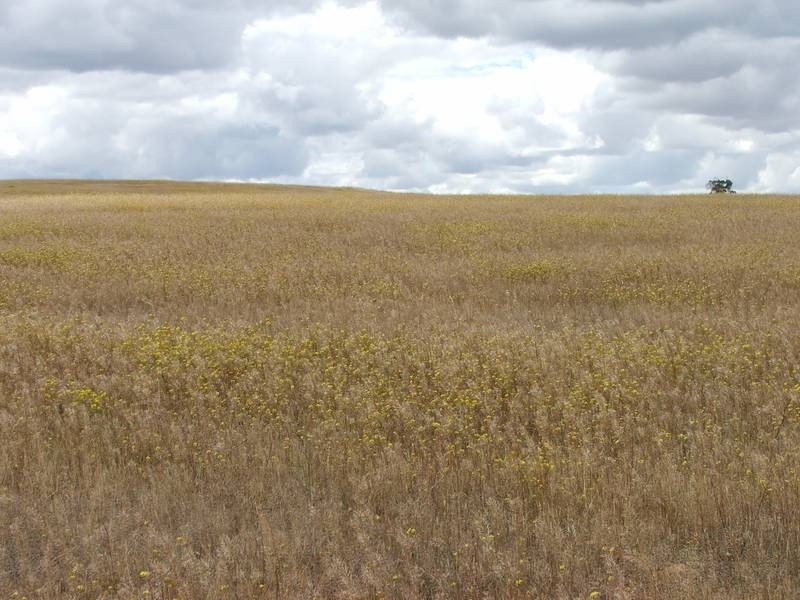 91 & 92 Long Gully Road, Mannum SA 5238