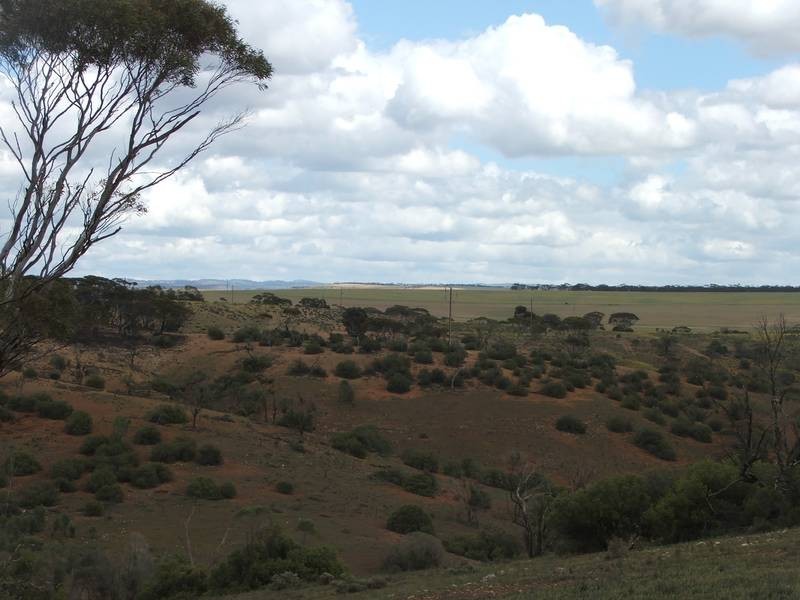 91 & 92 Long Gully Road, Mannum SA 5238