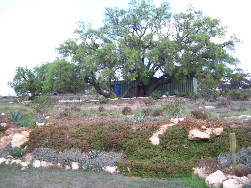Lot 7 Sedan Road, Punthari SA 5238