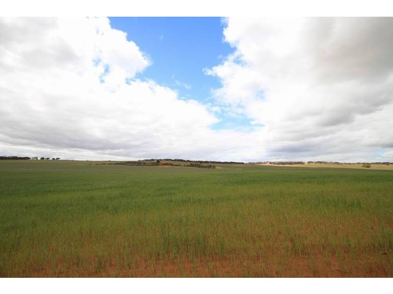 Mt Pleasant to Walker Flat Road, Angas Valley SA 5238