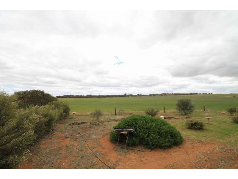 Mt Pleasant to Walker Flat Road, Angas Valley SA 5238