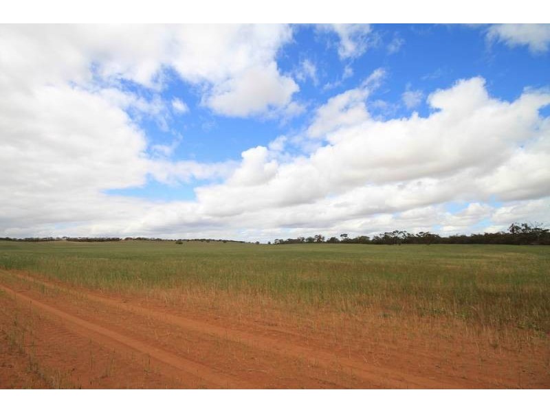 Mt Pleasant to Walker Flat Road, Angas Valley SA 5238