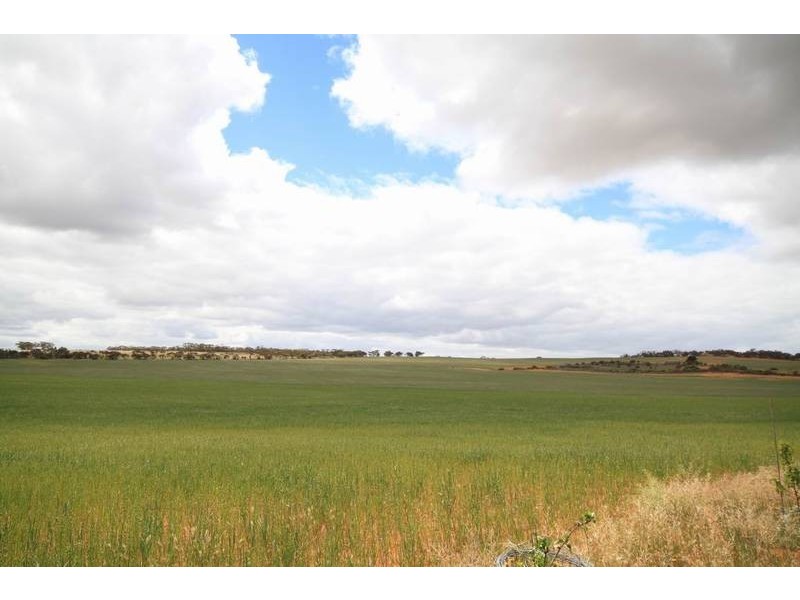 Mt Pleasant to Walker Flat Road, Angas Valley SA 5238