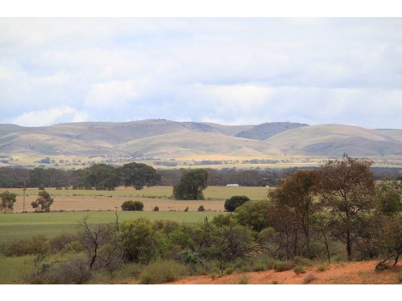 Mt Pleasant to Walker Flat Road, Angas Valley SA 5238