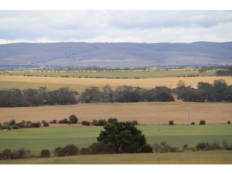 Mt Pleasant to Walker Flat Road, Angas Valley SA 5238