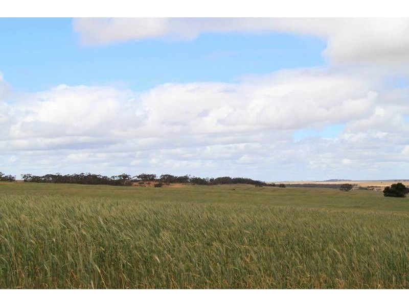 Mt Pleasant to Walker Flat Road, Angas Valley SA 5238