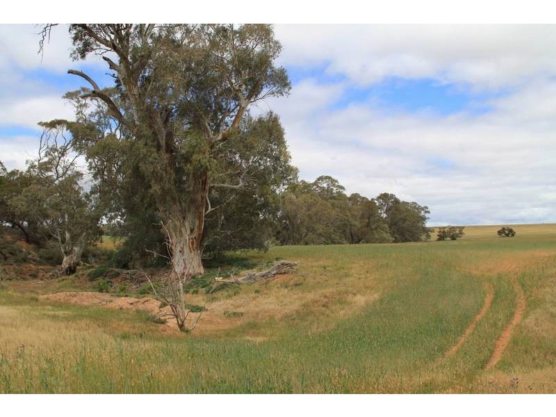 Mt Pleasant to Walker Flat Road, Angas Valley SA 5238