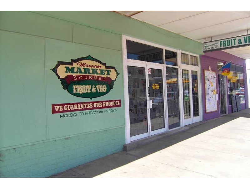 84 Randell Street, Mannum SA 5238