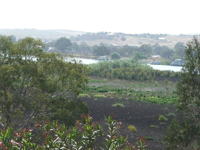 Lot 20 Purnong Road, Mannum SA 5238