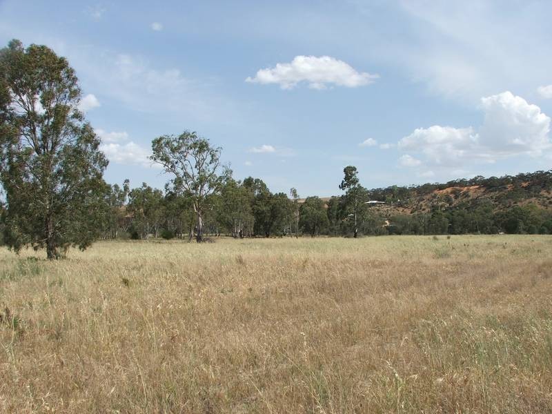 Allot 1 Manunka Road, Walker Flat SA 5238
