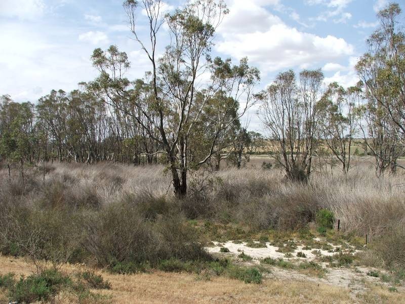 Allot 1 Manunka Road, Walker Flat SA 5238