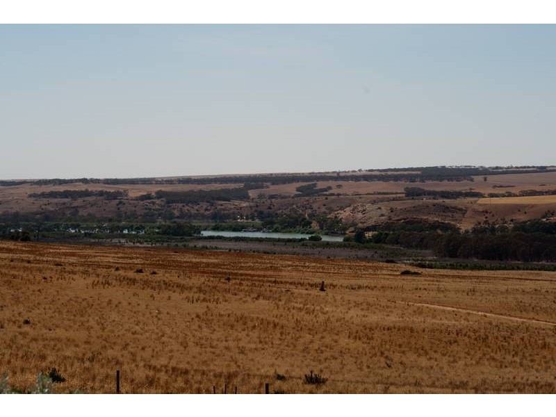 8 Kirkness Road, Mannum SA 5238