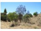 Lot 104 Khancoban Place, Younghusband SA 5238