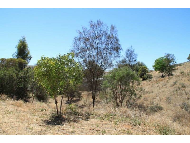 Lot 104 Khancoban Place, Younghusband SA 5238