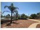 11 & 12 Perseverance Court, Younghusband SA 5238