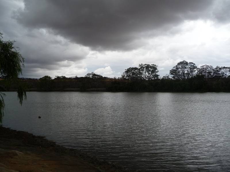 Shack 21 Younghusband Holdings, Younghusband SA 5238